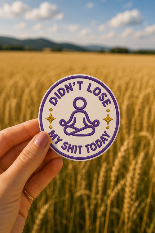 Didn't Lose My Shit Today Sticker