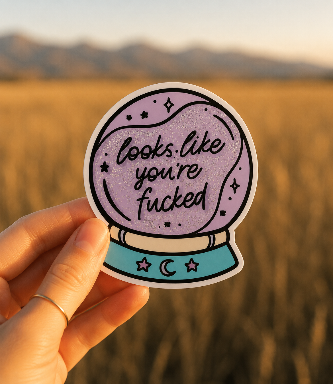 Looks Like You're F*cked design, lifestyle