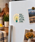 You Went 5,000 Kelvin, Carl magnet on a fridge